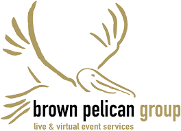 Brown Pelican WiFi