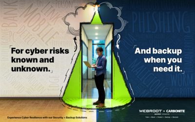 Global Ad Campaign for Carbonite + Webroot